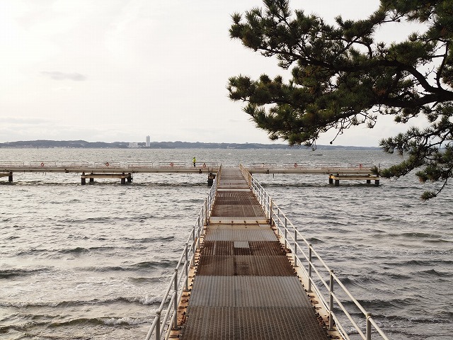e0209900_11134996.jpg