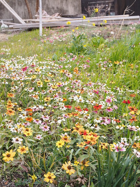 e0209900_1145558.jpg