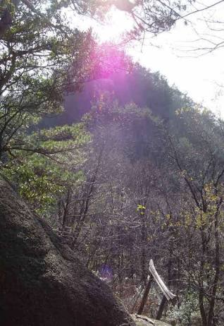 c0072801_157544.png