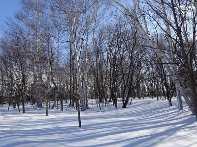 f0328313_10005129.jpg