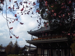 c0352015_22254338.jpg