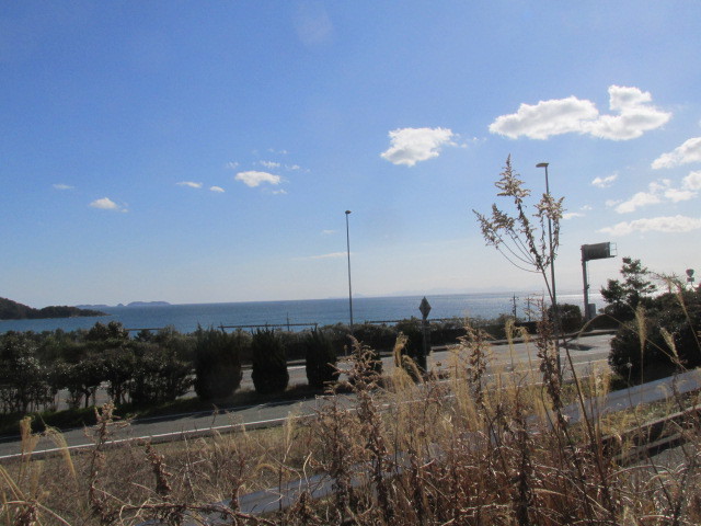 f0341616_15374122.jpg