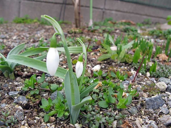 f0129726_21020401.jpg