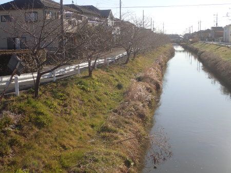 c0353632_11222803.jpg