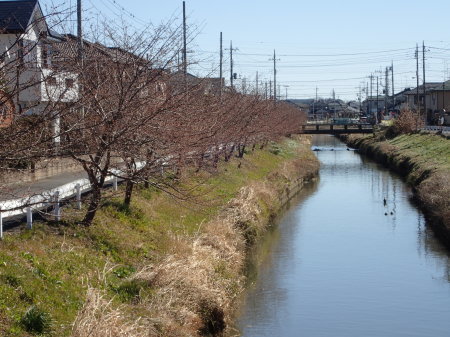 c0353632_11234219.jpg