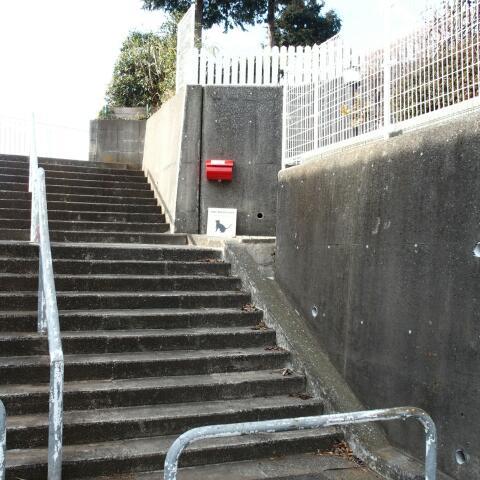 f0360238_11370789.jpg