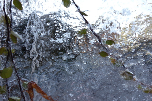 f0375039_07552357.jpg