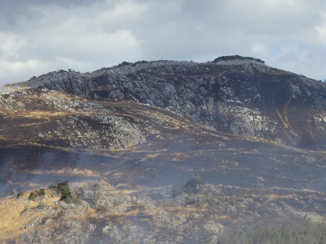 e0164643_21152615.jpg