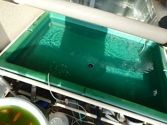 f0334143_9333668.jpg