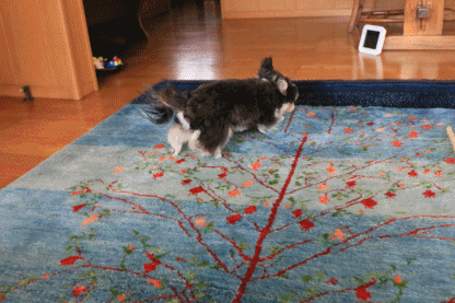 c0145250_09303145.gif