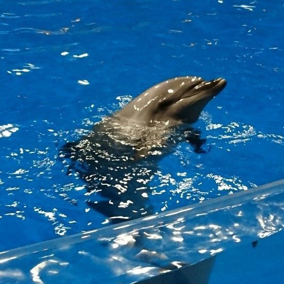 d0347253_11340720.jpg