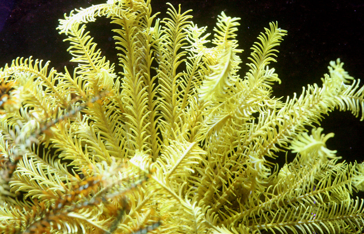 c0165758_20101414.jpg