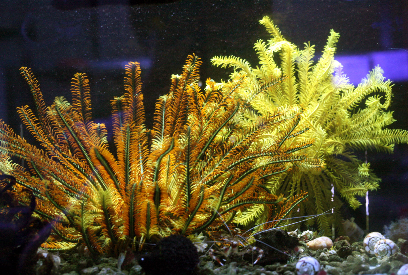 c0165758_201087.jpg