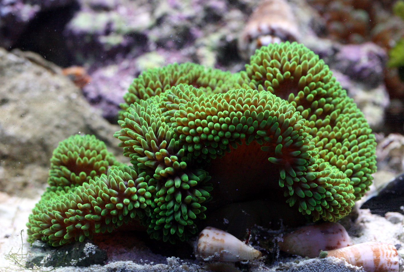 c0165758_20173840.jpg