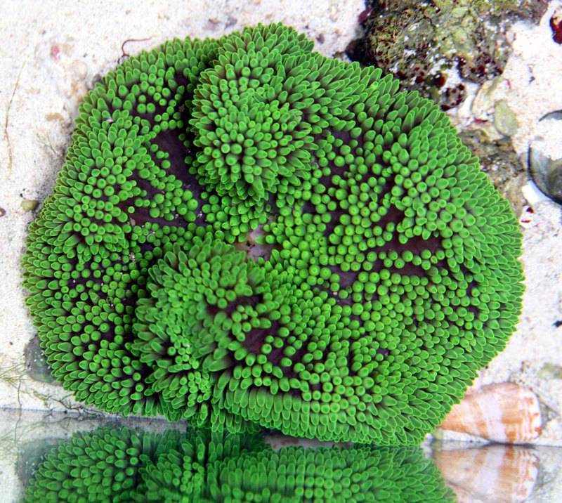 c0165758_2017424.jpg