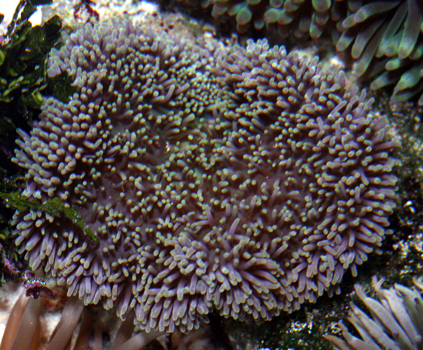 c0165758_2018147.jpg