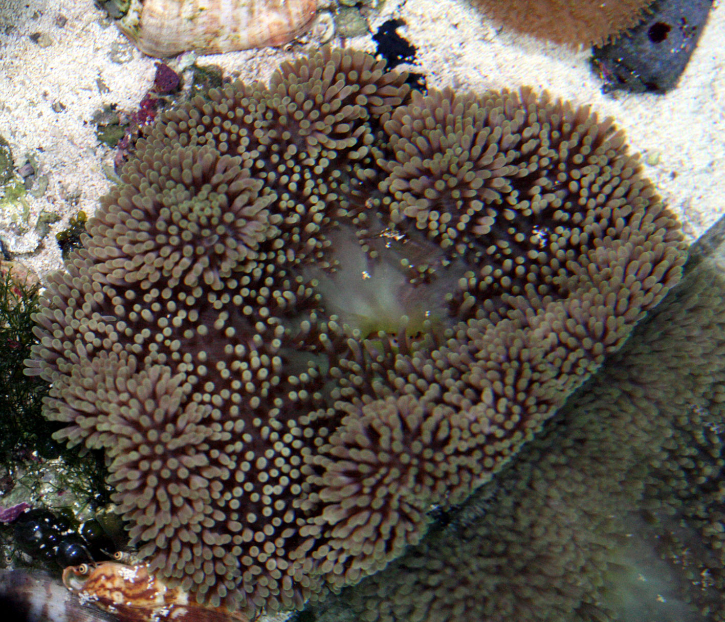 c0165758_2018964.jpg