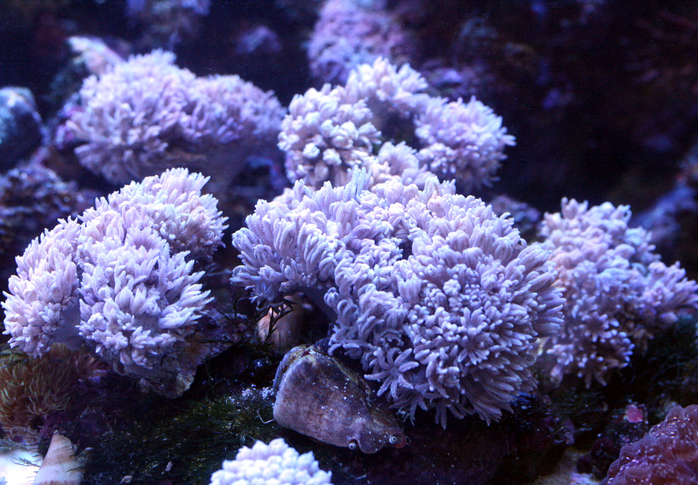 c0165758_2093060.jpg
