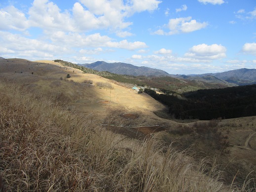 f0113862_1716236.jpg