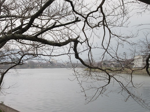 f0113862_17491770.jpg