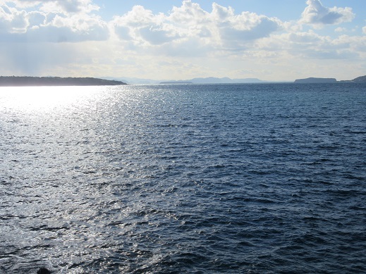f0113862_17555599.jpg