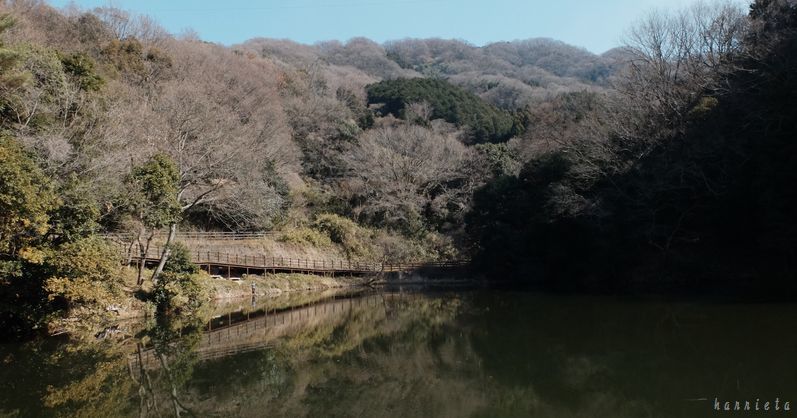 c0152690_21100111.jpg