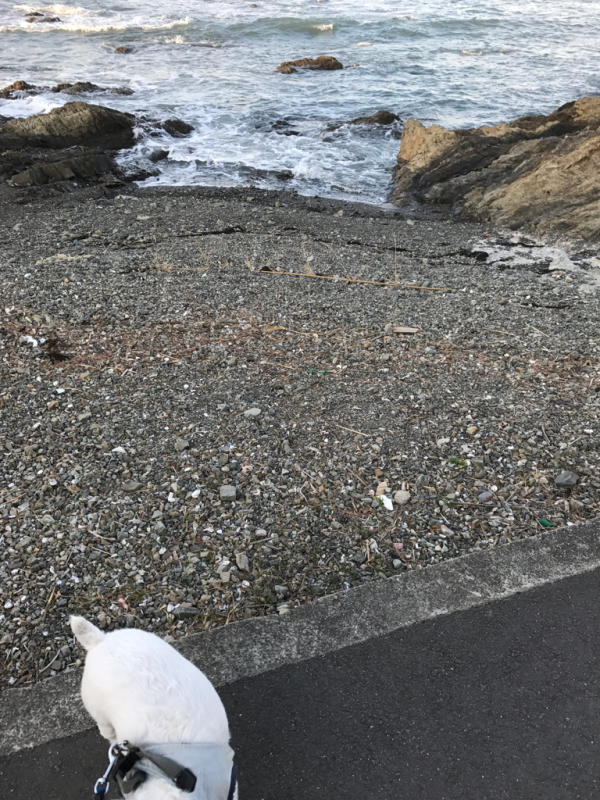 f0298891_13511947.jpg