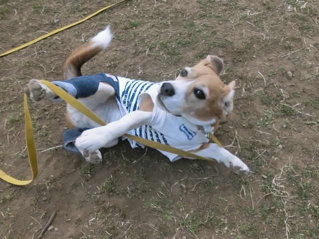 a0319693_8514990.jpg