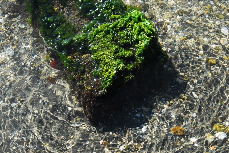 b0223512_23455568.jpg
