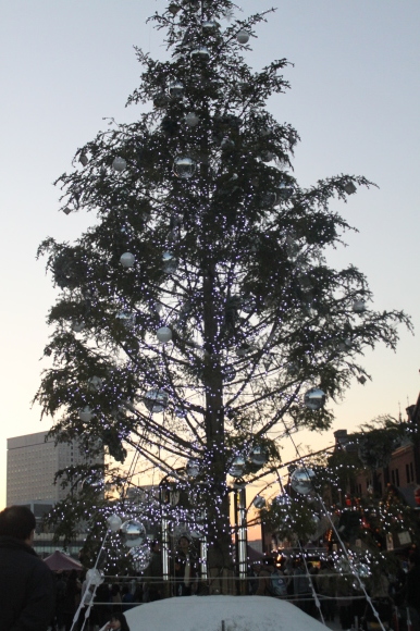 f0233916_21415424.jpg