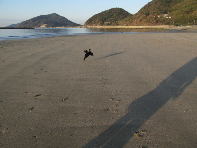 f0341616_16432739.jpg