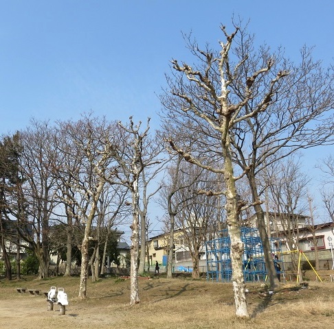 c0084117_19473338.jpg