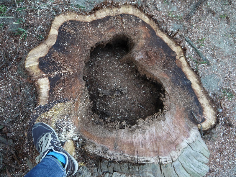 e0137130_23115270.jpg