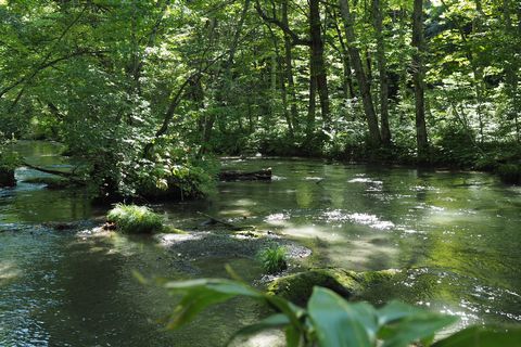 b0042334_15145379.jpg
