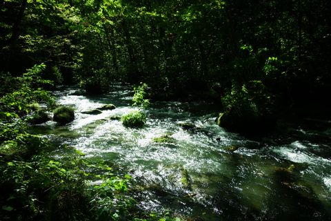 b0042334_15154330.jpg
