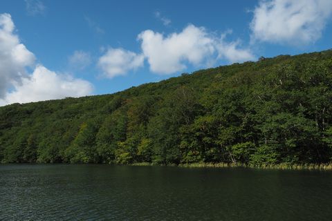 b0042334_15155620.jpg