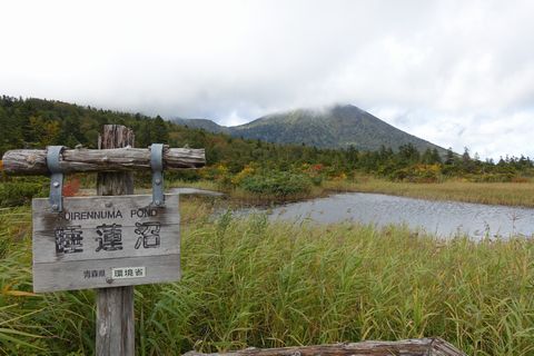 b0042334_15172978.jpg