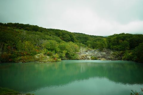 b0042334_1518054.jpg