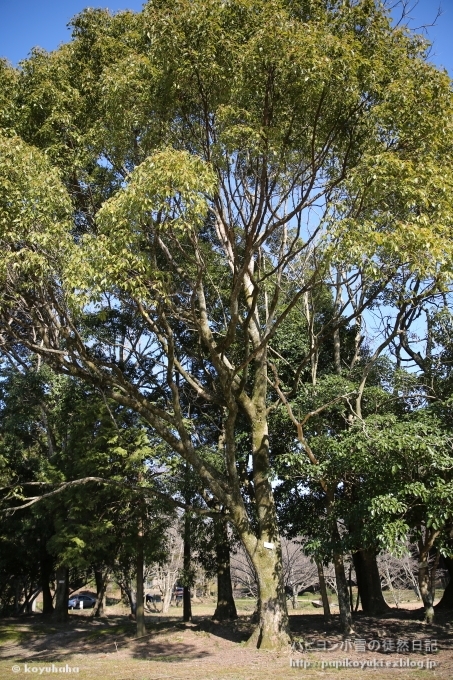 d0140234_20124464.jpg