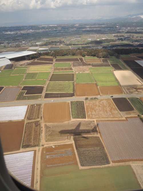 d0142944_00005200.jpg