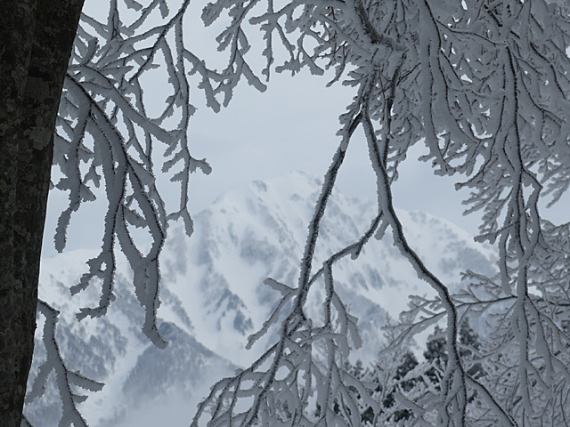 c0116856_19460287.jpg
