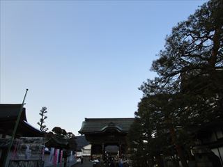 d0045362_22462187.jpg