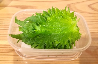 a0313763_12245047.jpg