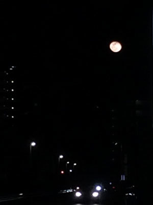 c0050264_13394755.jpg