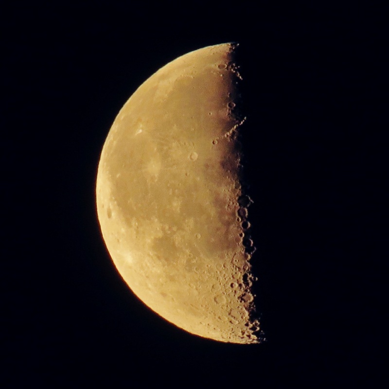 c0183777_83763.jpg