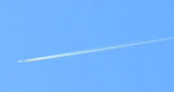 e0130185_1557765.jpg