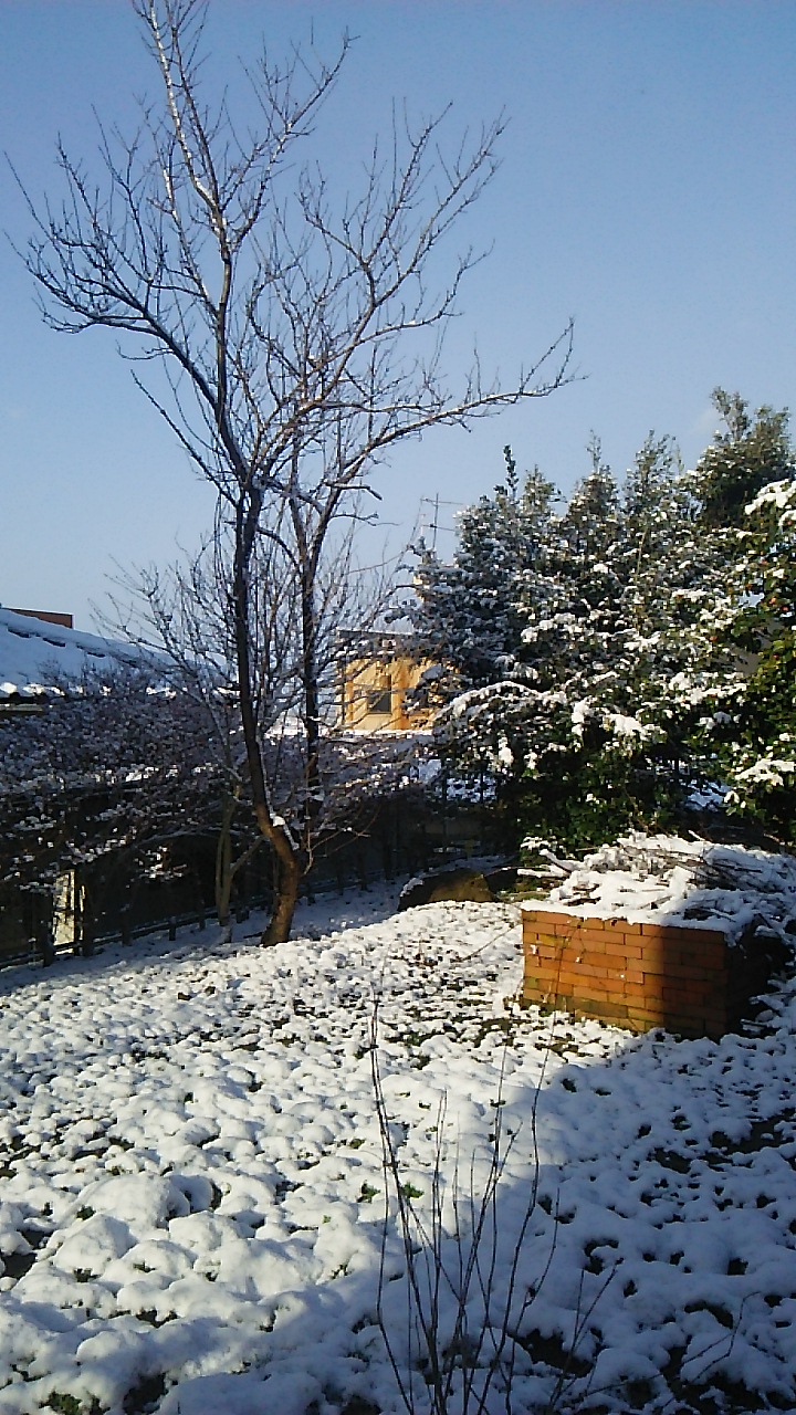 b0091187_2311219.jpg