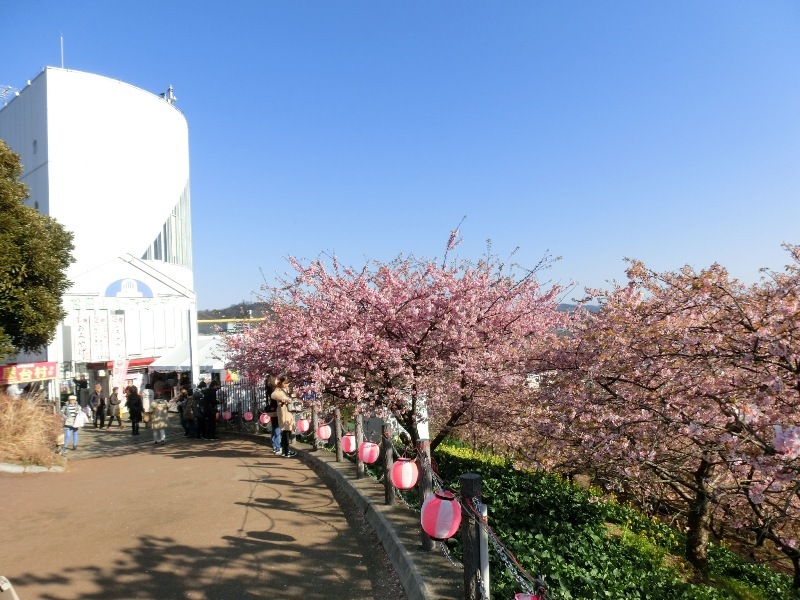 a0186689_10434277.jpg