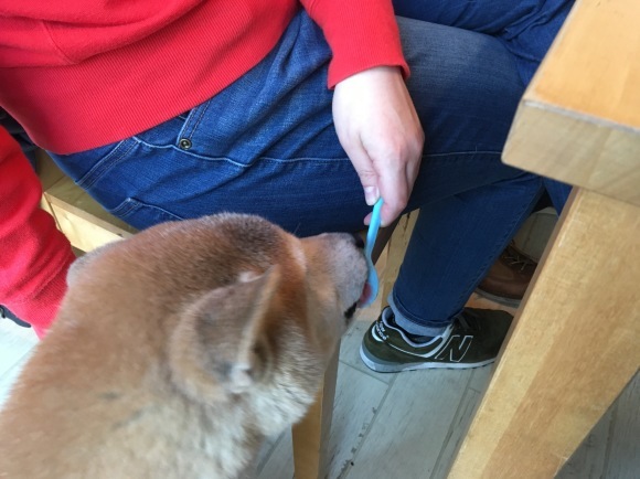 c0123890_19320925.jpeg