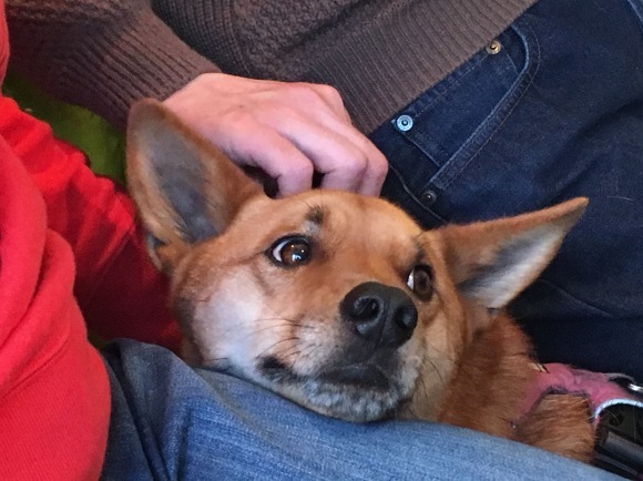 c0123890_19322920.jpeg